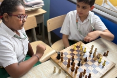 The Great Chess Battle