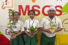Van Mahotsav